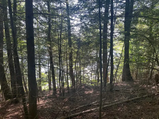 $210,000 | 17197 Patti Lane, Townsend, WI 54175