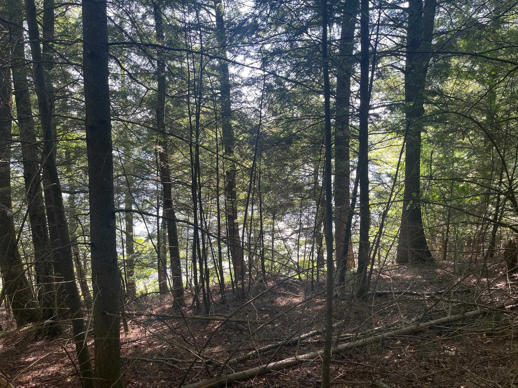 17197 Patti Lane Townsend, WI 54175 - Photo 1 of 6