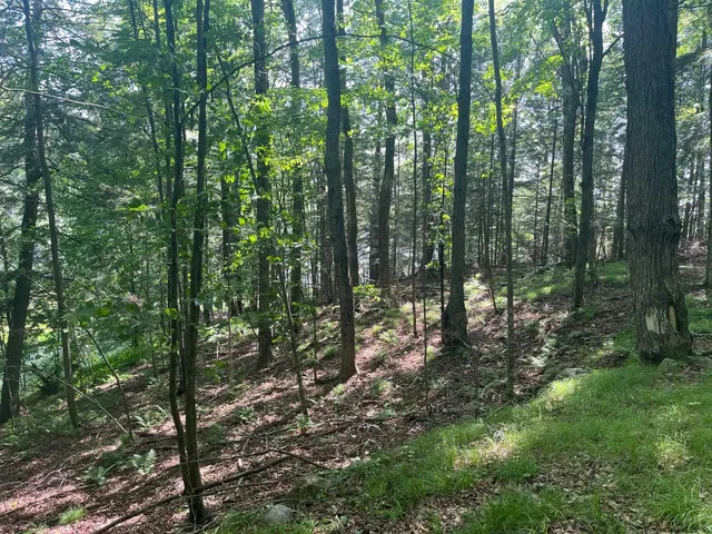 $210,000 | 17197 Patti Lane, Townsend, WI 54175