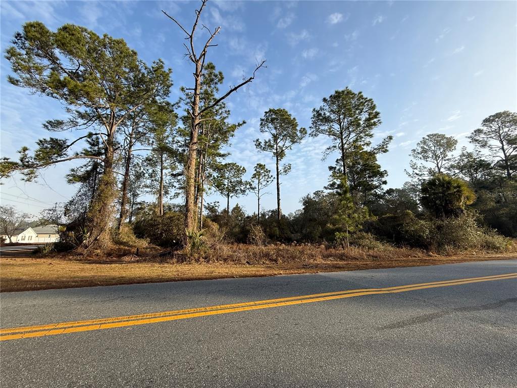 West Thyme Avenue Eustis, FL 32736 - Photo 2 of 5