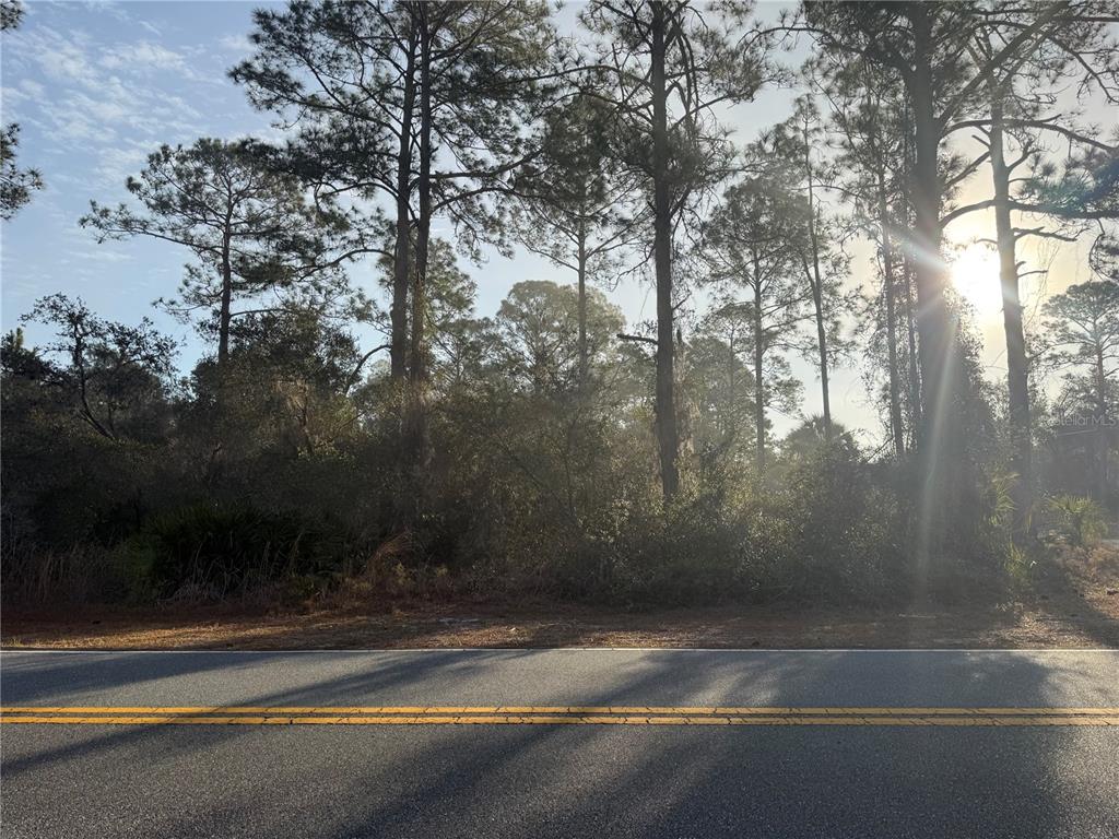 West Thyme Avenue Eustis, FL 32736 - Photo 4 of 5