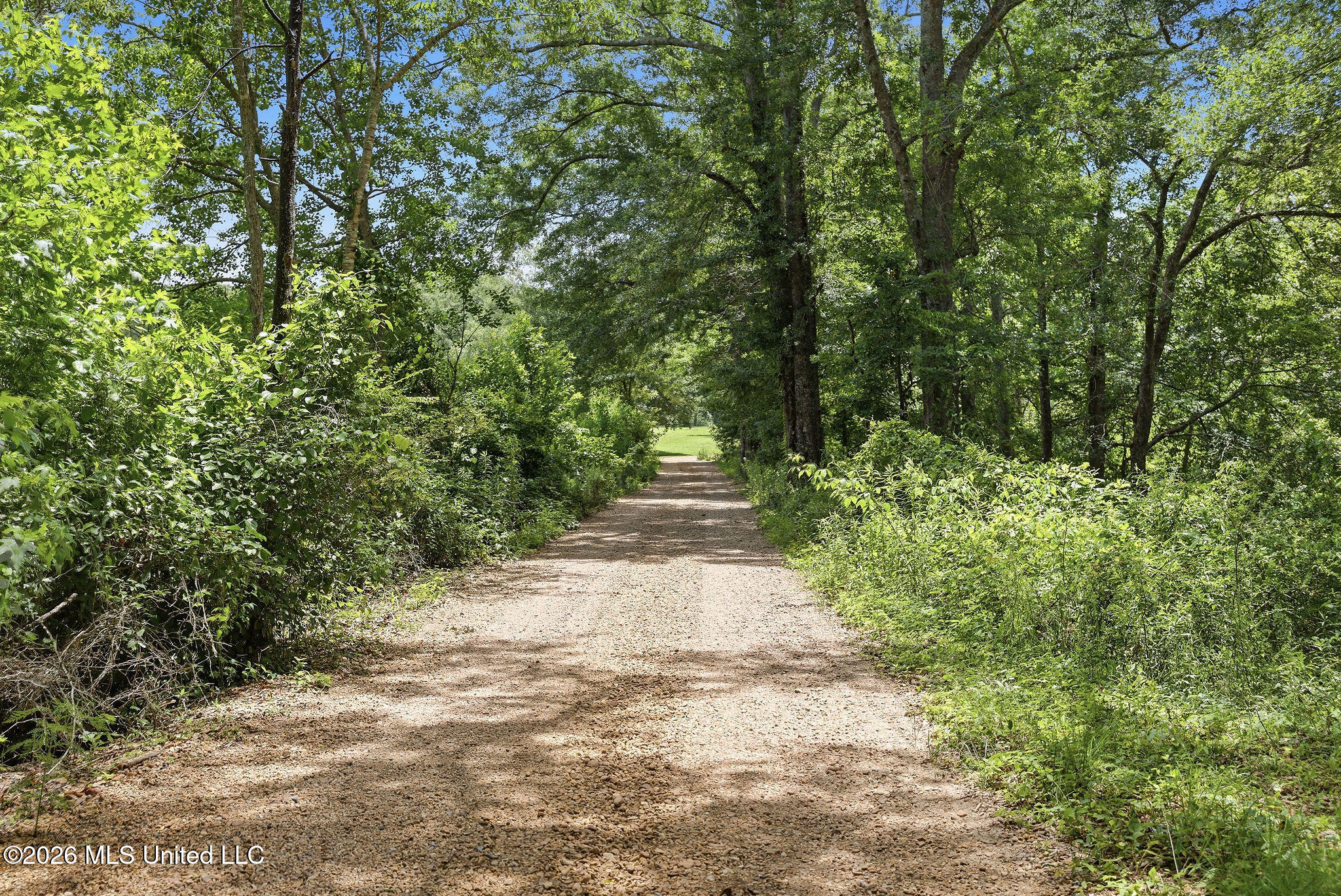 1122 Willis Cotton Road Summit, MS 39666 - Photo 3 of 31 CE4A5275