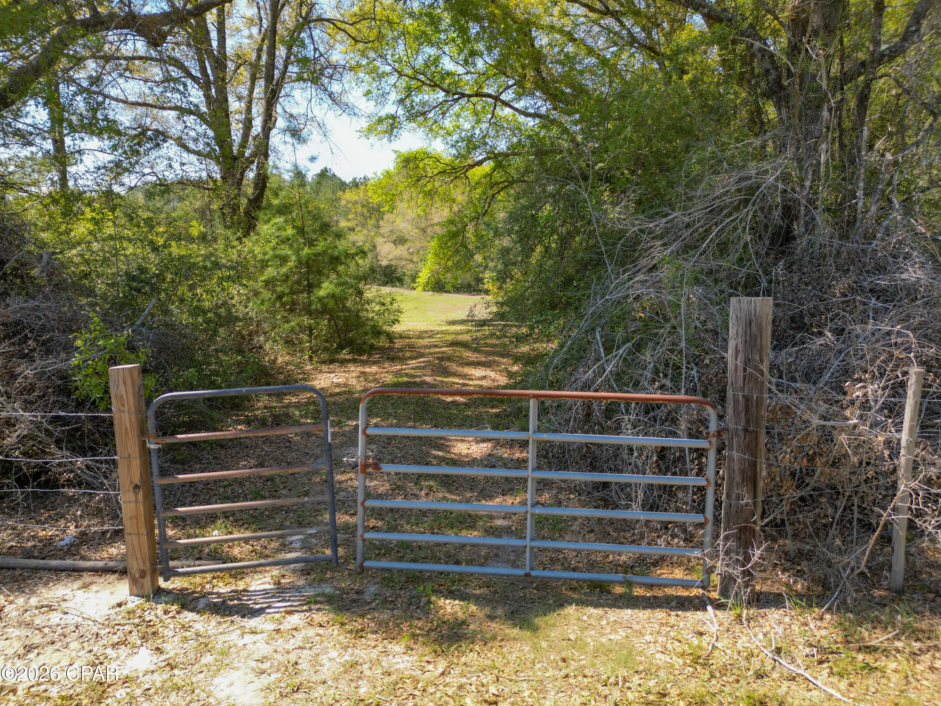 Tbd River Road Vernon, FL 32462 - Photo 2 of 13