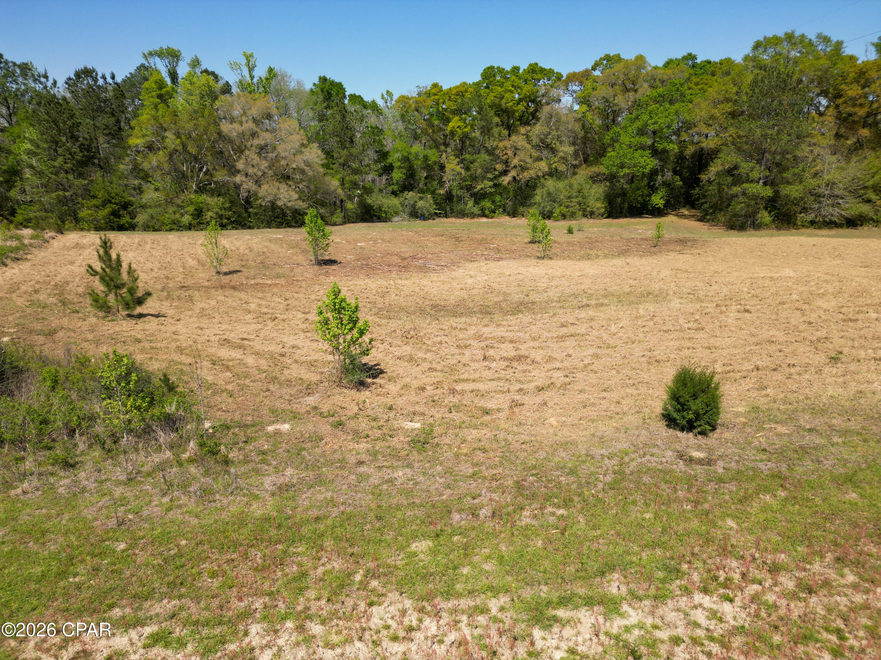 Tbd River Road Vernon, FL 32462 - Photo 4 of 13