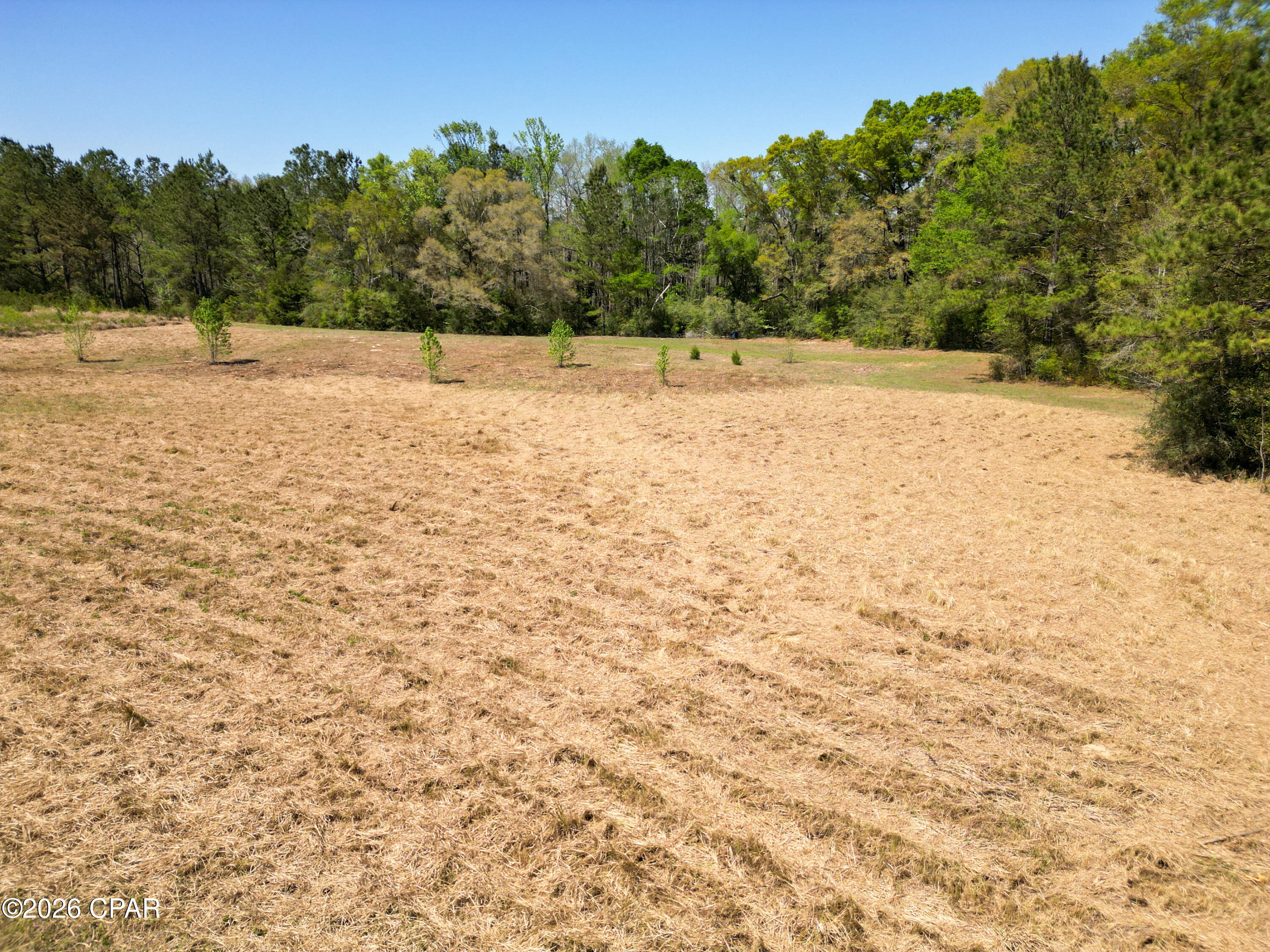 Tbd River Road Vernon, FL 32462 - Photo 5 of 13