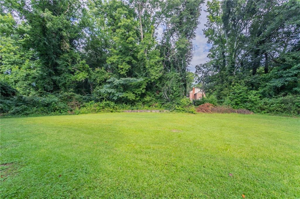 542 Hasty Drive Lithia Springs, GA 30122 - Photo 38 of 44 a view of outdoor space and yard