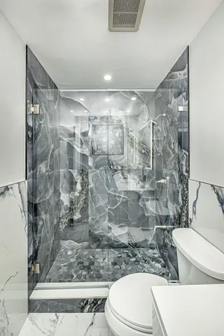 a bathroom with a shower and a toilet