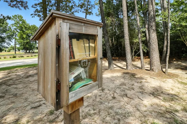 $1,825 | 379 Jewett Meadow Drive, Magnolia, TX 77354