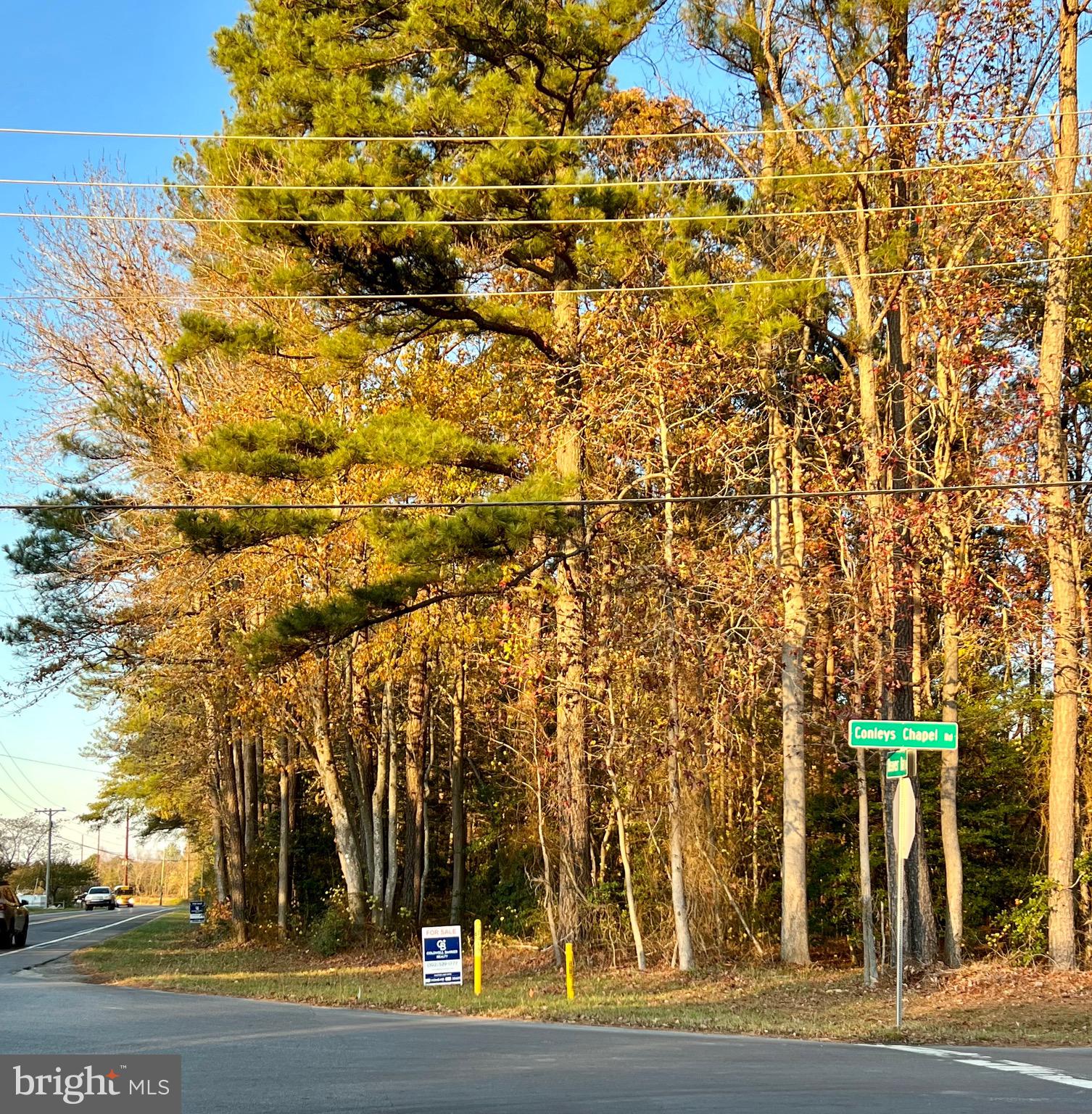 280 B Road Lewes, DE 19958 - Photo 2 of 10 Gallery Image 2