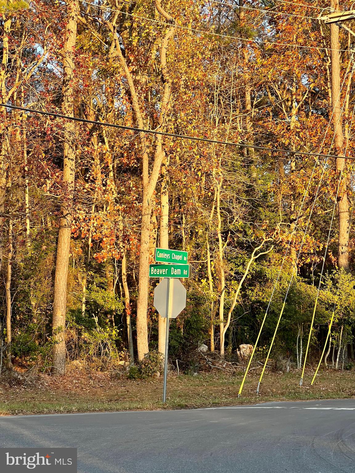 280 B Road Lewes, DE 19958 - Photo 7 of 10 Gallery Image 7