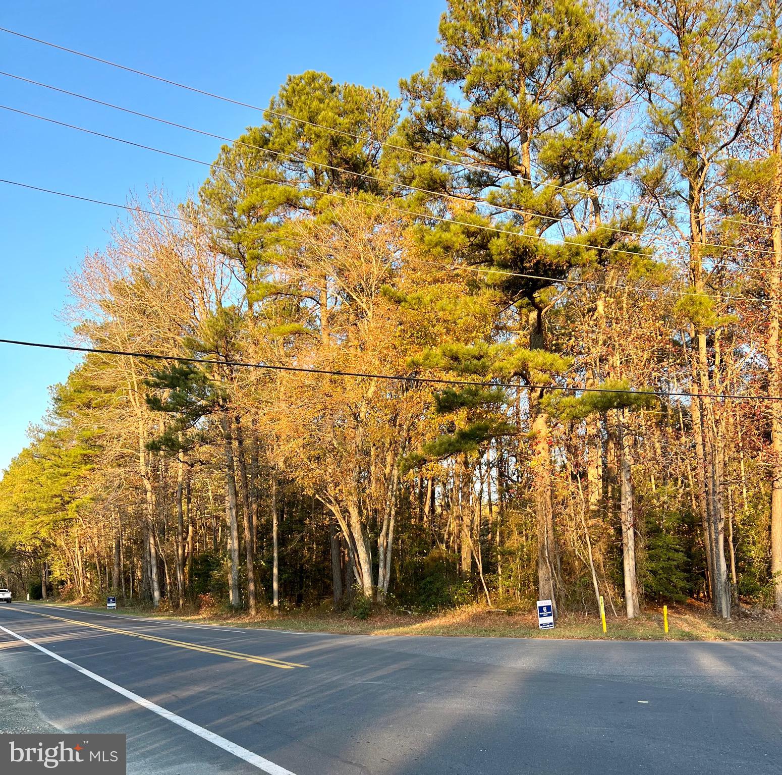 280 B Road Lewes, DE 19958 - Photo 8 of 10 Gallery Image 8