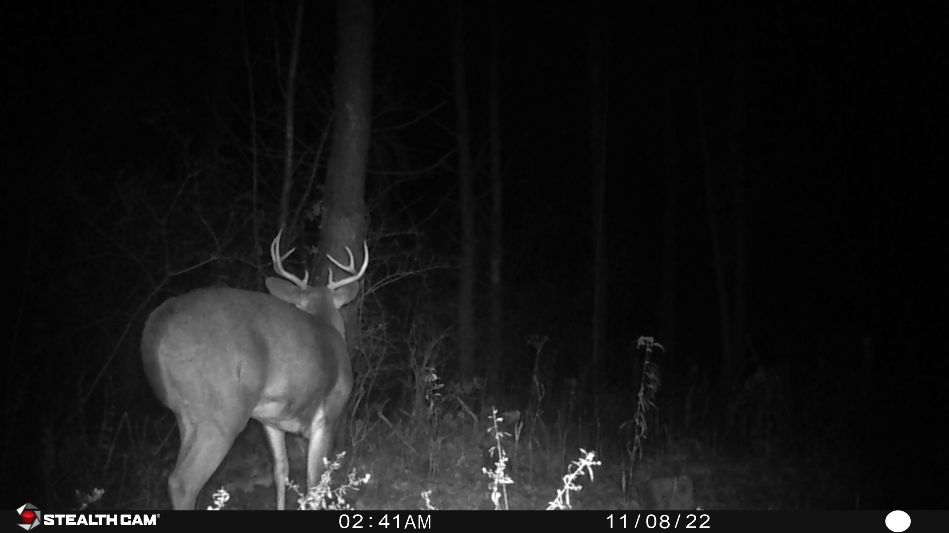 4368 Kirk Road Vassar, MI 48768 - Photo 23 of 23
