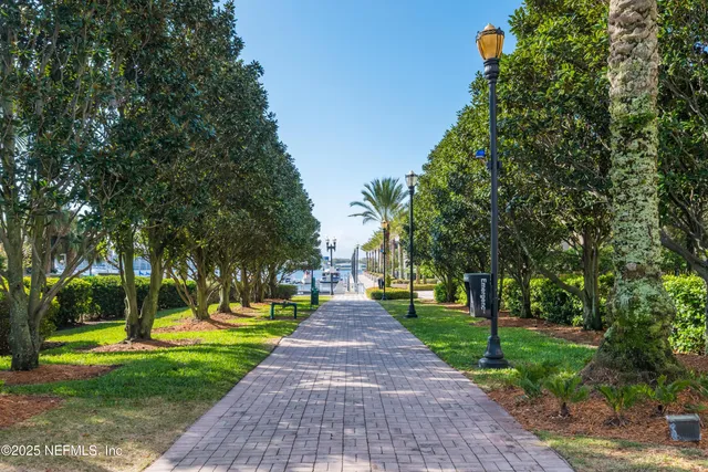 a park with large trees