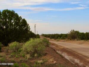 4053 Indian Bend Road Snowflake, AZ 85937 - Photo 2 of 8