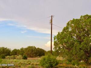 4053 Indian Bend Road Snowflake, AZ 85937 - Photo 3 of 8