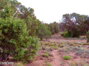 4053 Indian Bend Road Snowflake, AZ 85937 - Photo 4 of 8