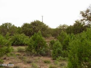 4053 Indian Bend Road Snowflake, AZ 85937 - Photo 5 of 8