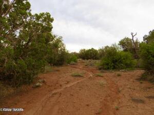 4053 Indian Bend Road Snowflake, AZ 85937 - Photo 6 of 8