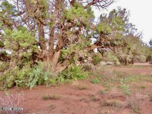 4053 Indian Bend Road Snowflake, AZ 85937 - Photo 7 of 8