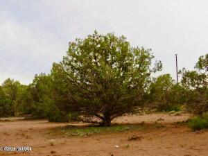 4053 Indian Bend Road Snowflake, AZ 85937 - Photo 8 of 8