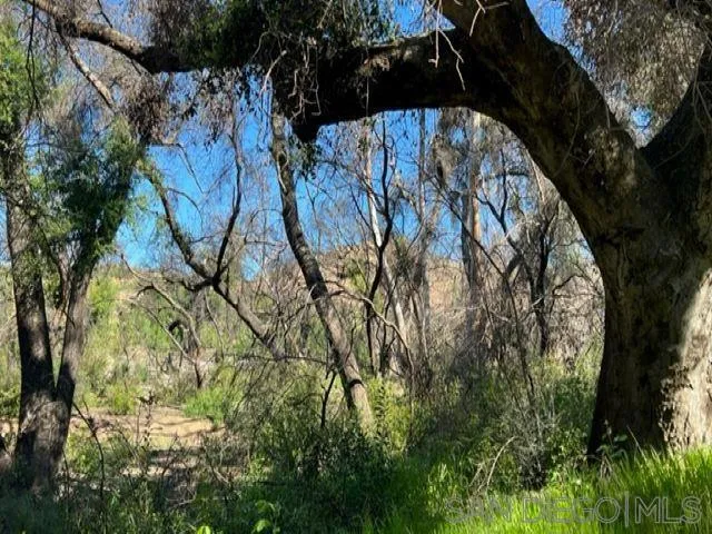 $636,000 | Bunny Drive, Jamul, CA 91935