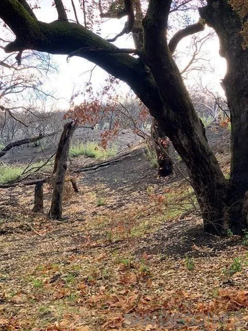 $636,000 | Bunny Drive, Jamul, CA 91935