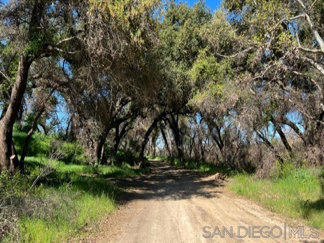 Bunny Drive Jamul, CA 91935 - Photo 4 of 50 a view of a yard