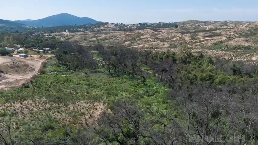 Bunny Drive Jamul, CA 91935 - Photo 5 of 50 an aerial view of forest