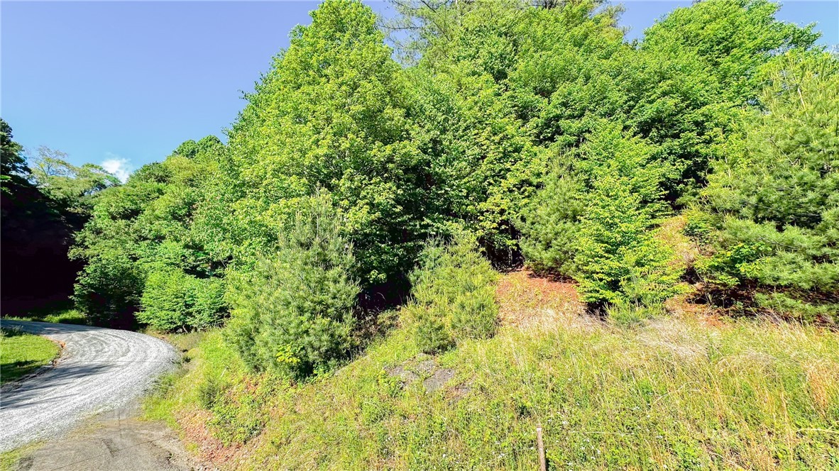 Tbd-13 Peck Peak Road Jefferson, NC 28640 - Photo 10 of 14
