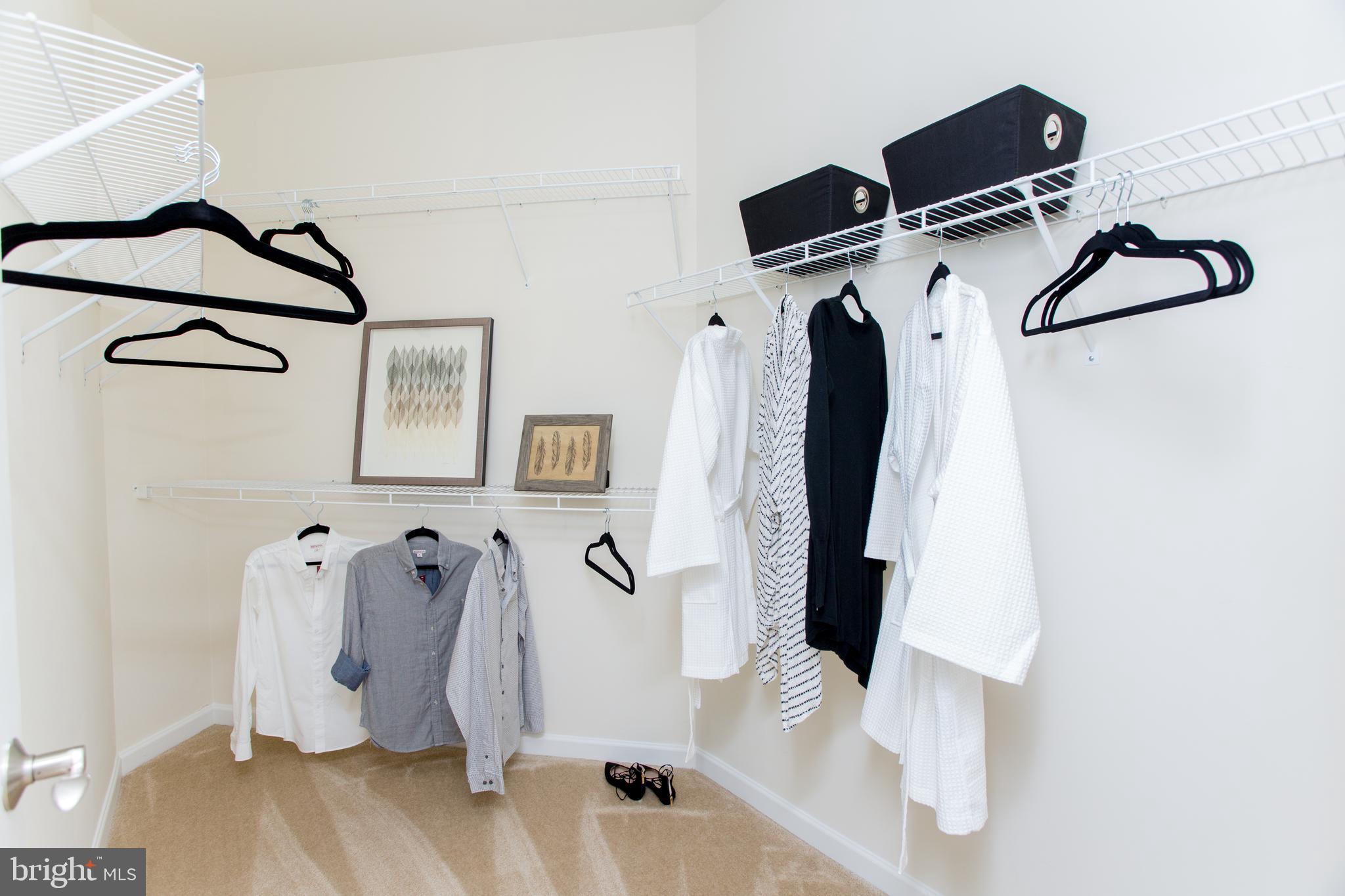 513 Carson Terrace, Unit 513 Huntingdon Valley, PA 19006 - Photo 16 of 20 Primary Closet