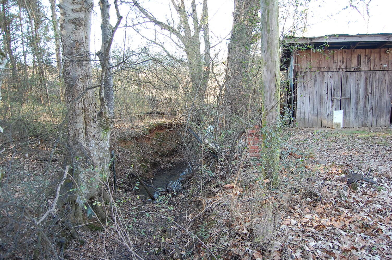 10595 Griffith Highway Whitwell, TN 37397 - Photo 12 of 57 DSC_0015