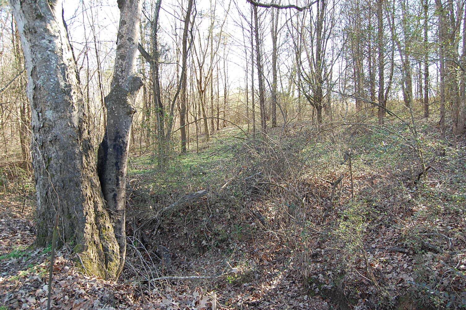 10595 Griffith Highway Whitwell, TN 37397 - Photo 15 of 57 DSC_0018