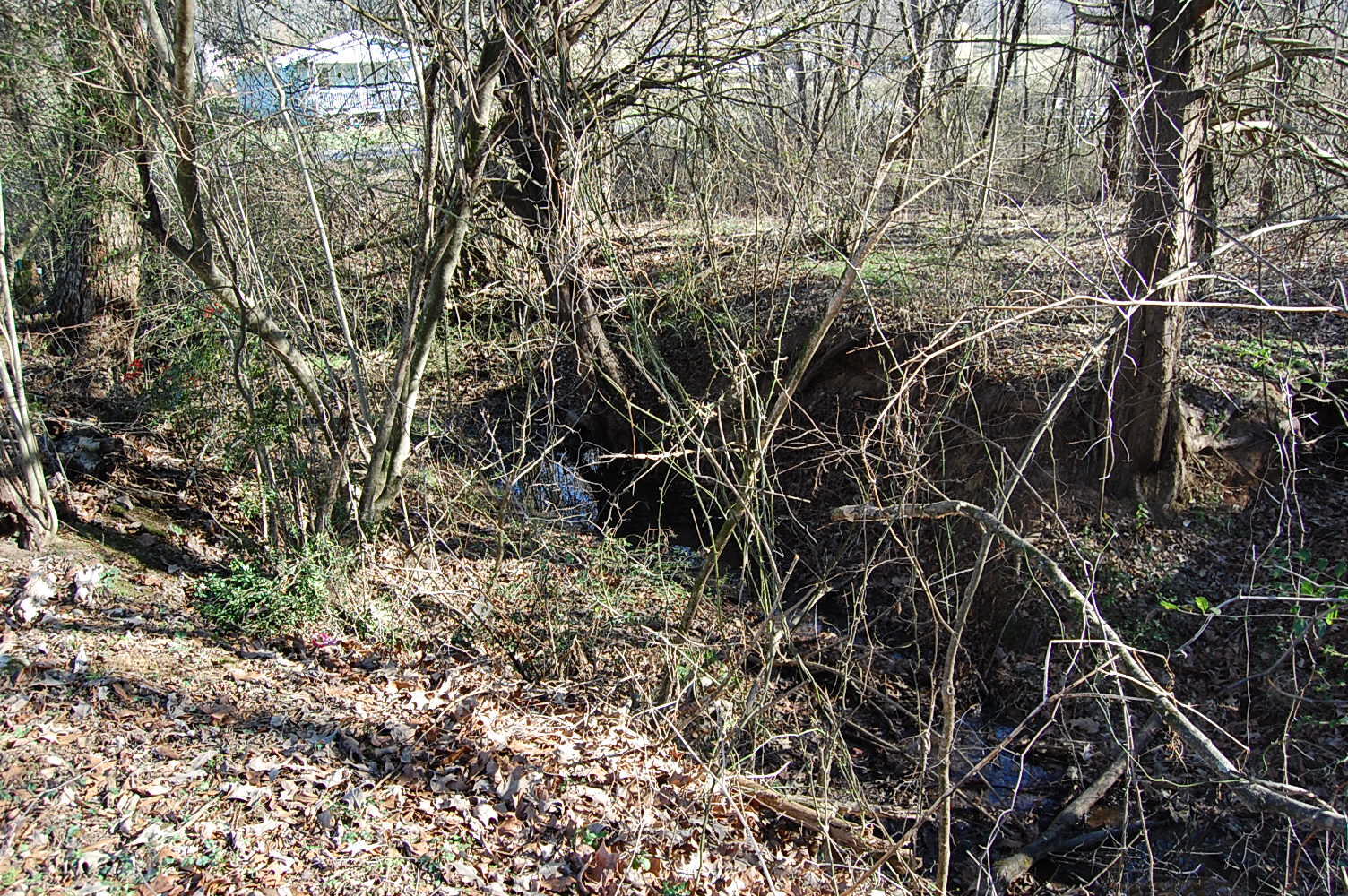 10595 Griffith Highway Whitwell, TN 37397 - Photo 19 of 57 DSC_0022