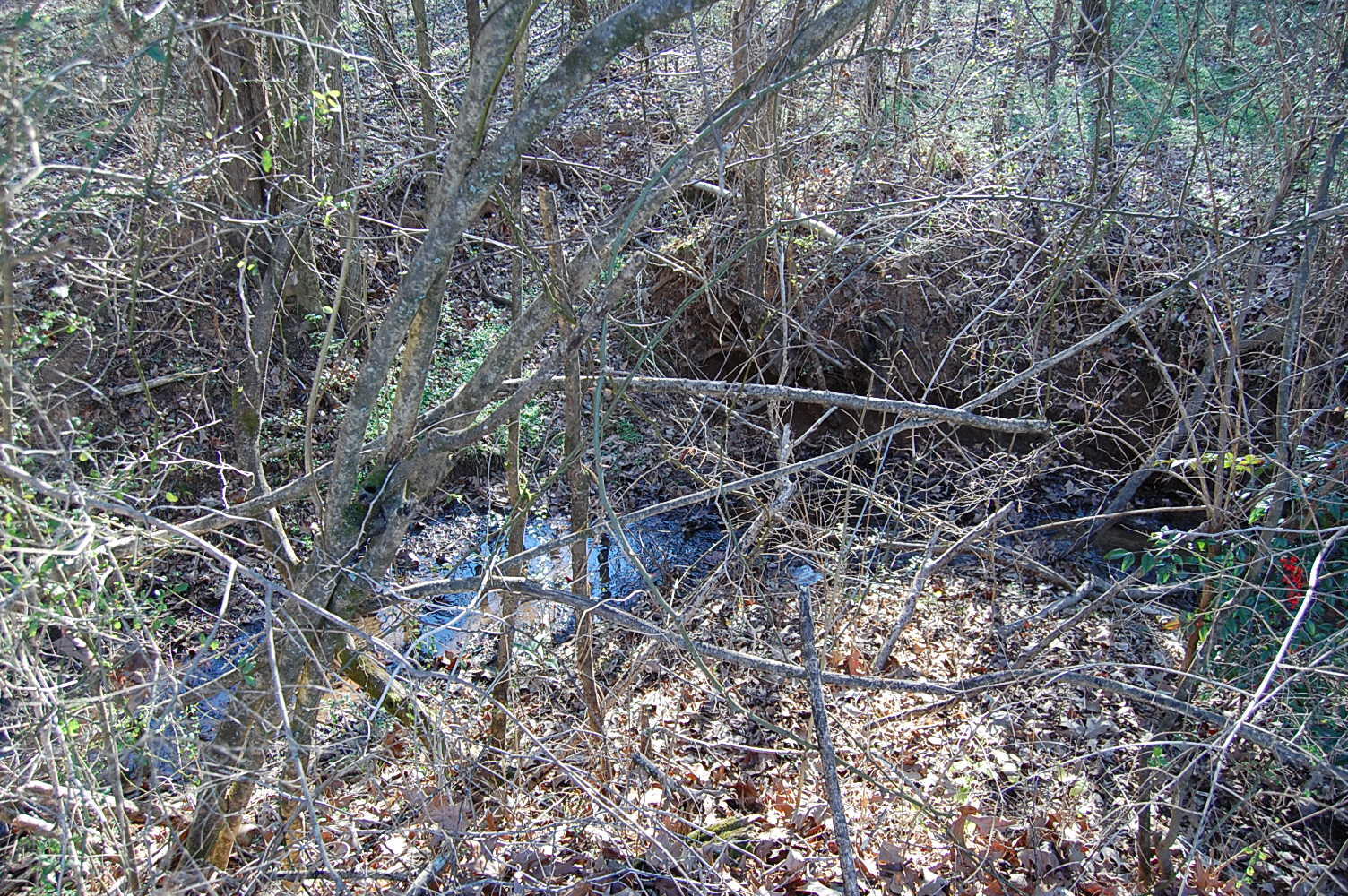 10595 Griffith Highway Whitwell, TN 37397 - Photo 20 of 57 DSC_0023