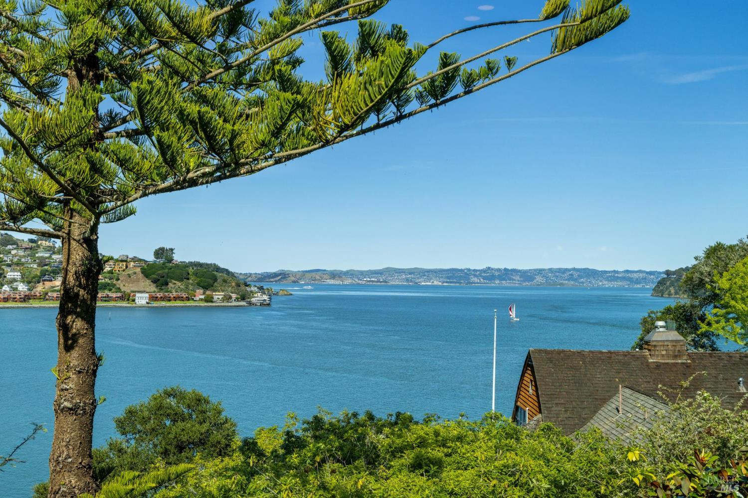 290 Beach Road Belvedere, CA 94920 - Photo 65 of 77