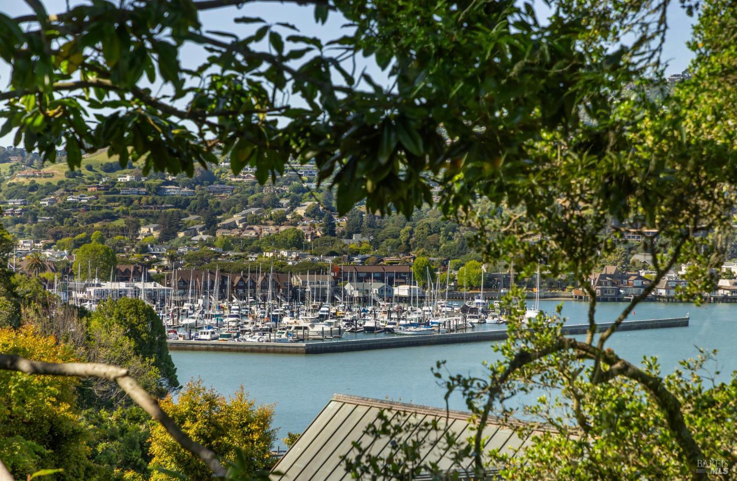 290 Beach Road Belvedere, CA 94920 - Photo 67 of 77