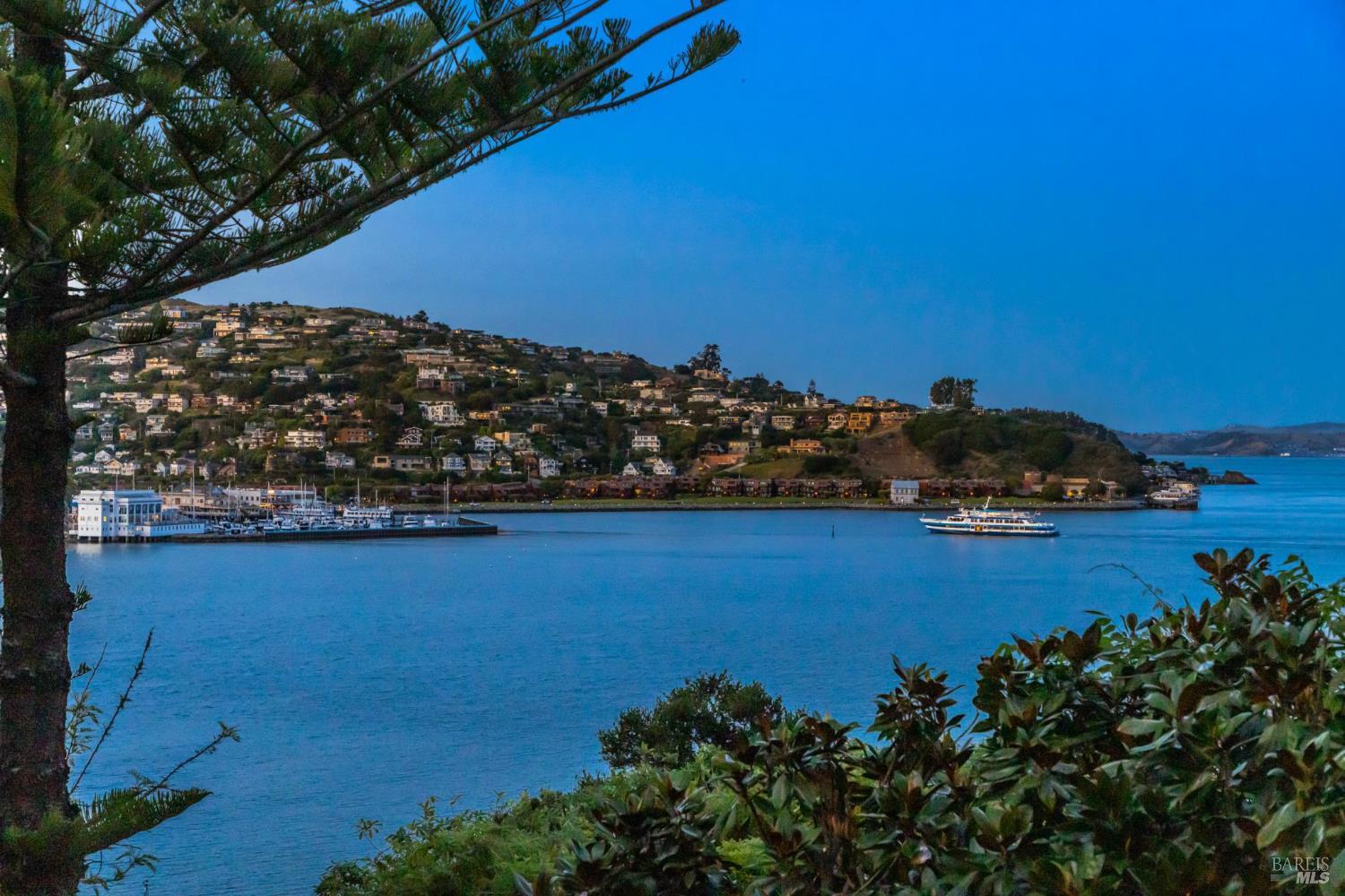 290 Beach Road Belvedere, CA 94920 - Photo 74 of 77