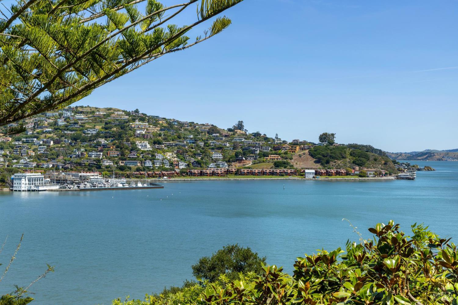 290 Beach Road Belvedere, CA 94920 - Photo 8 of 77