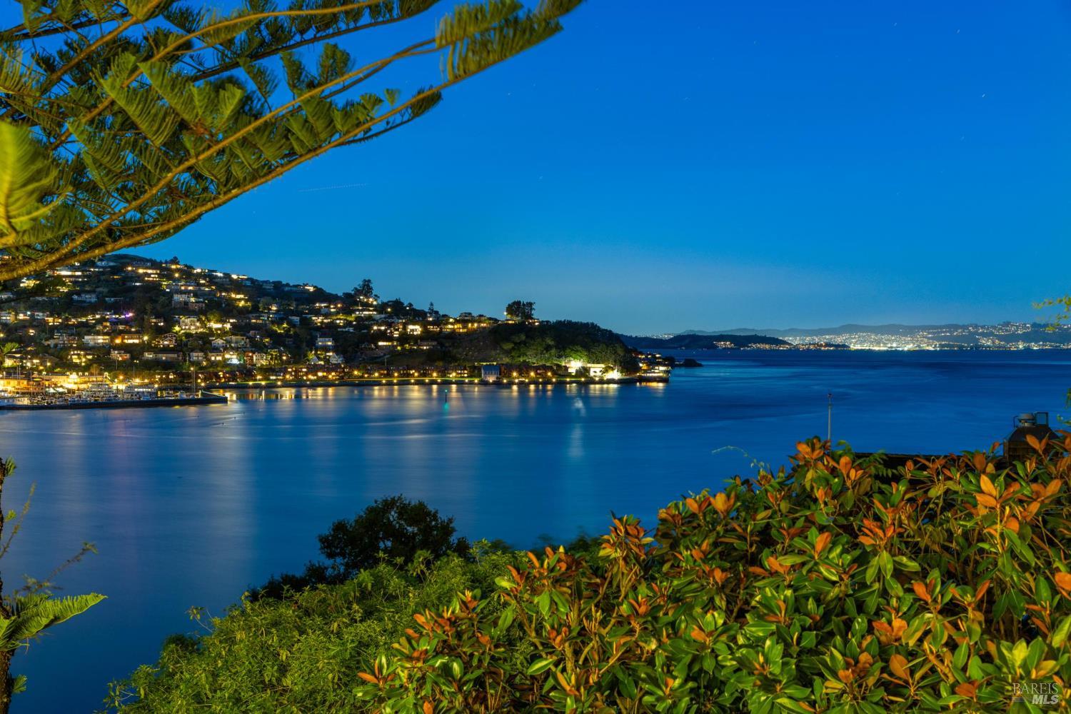 290 Beach Road Belvedere, CA 94920 - Photo 9 of 77