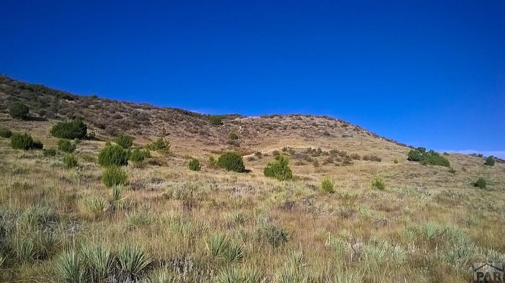 3r 3 R Road Beulah, CO 81023 - Photo 2 of 15