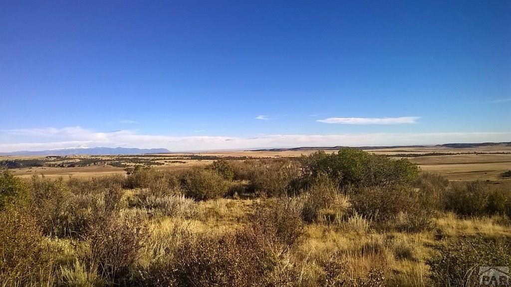 3r 3 R Road Beulah, CO 81023 - Photo 6 of 15