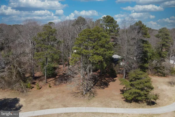 a view of a yard with large trees