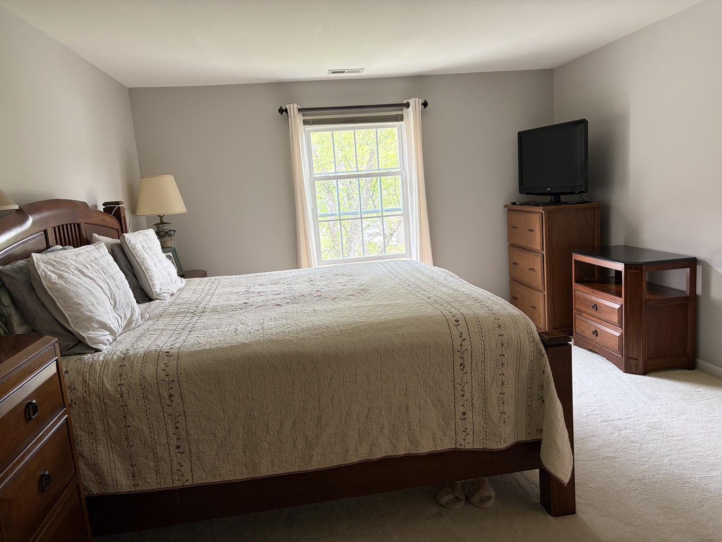 318 Dunham Place Commons, Unit 318 St. Charles, IL 60174 - Photo 11 of 20 a bedroom with a bed tv and a window