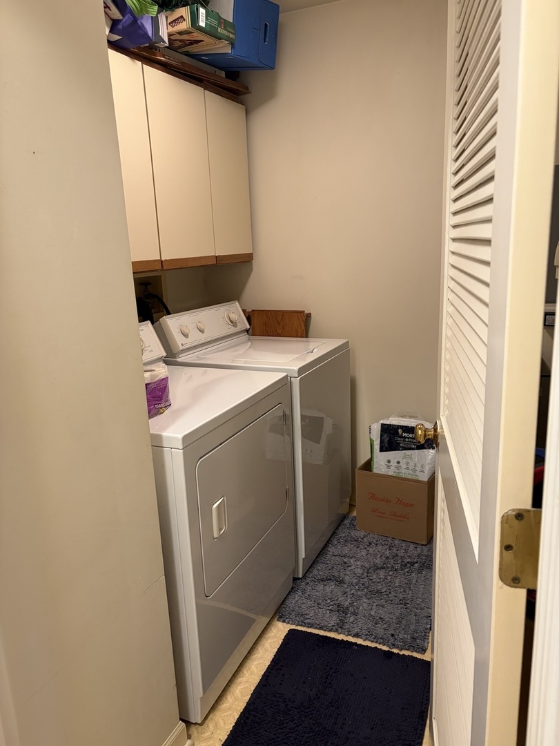 318 Dunham Place Commons, Unit 318 St. Charles, IL 60174 - Photo 15 of 20 a utility room with dryer and washer