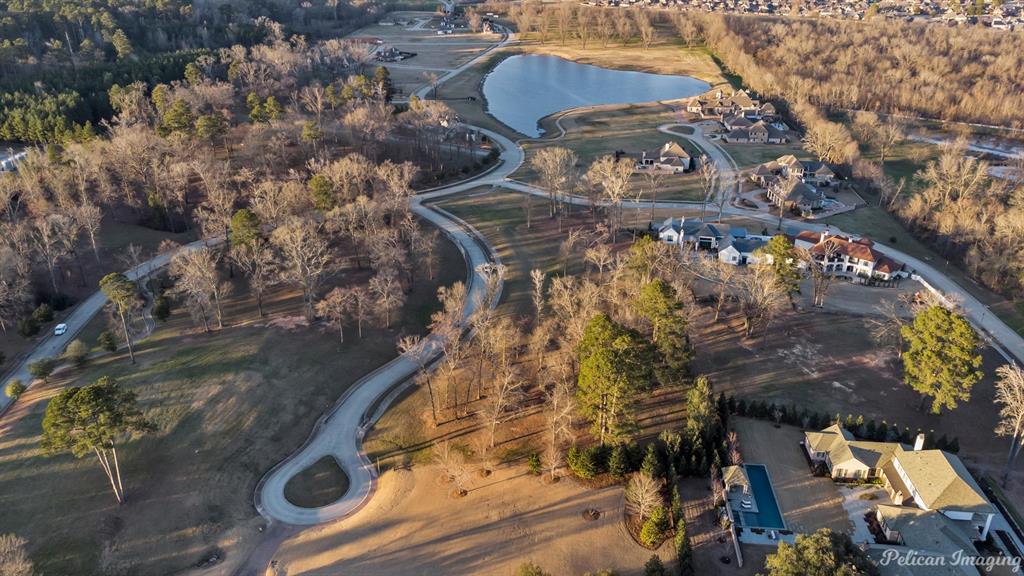 415 Mission Ridge Court Shreveport, LA 71106 - Photo 3 of 5 a city view with tall trees