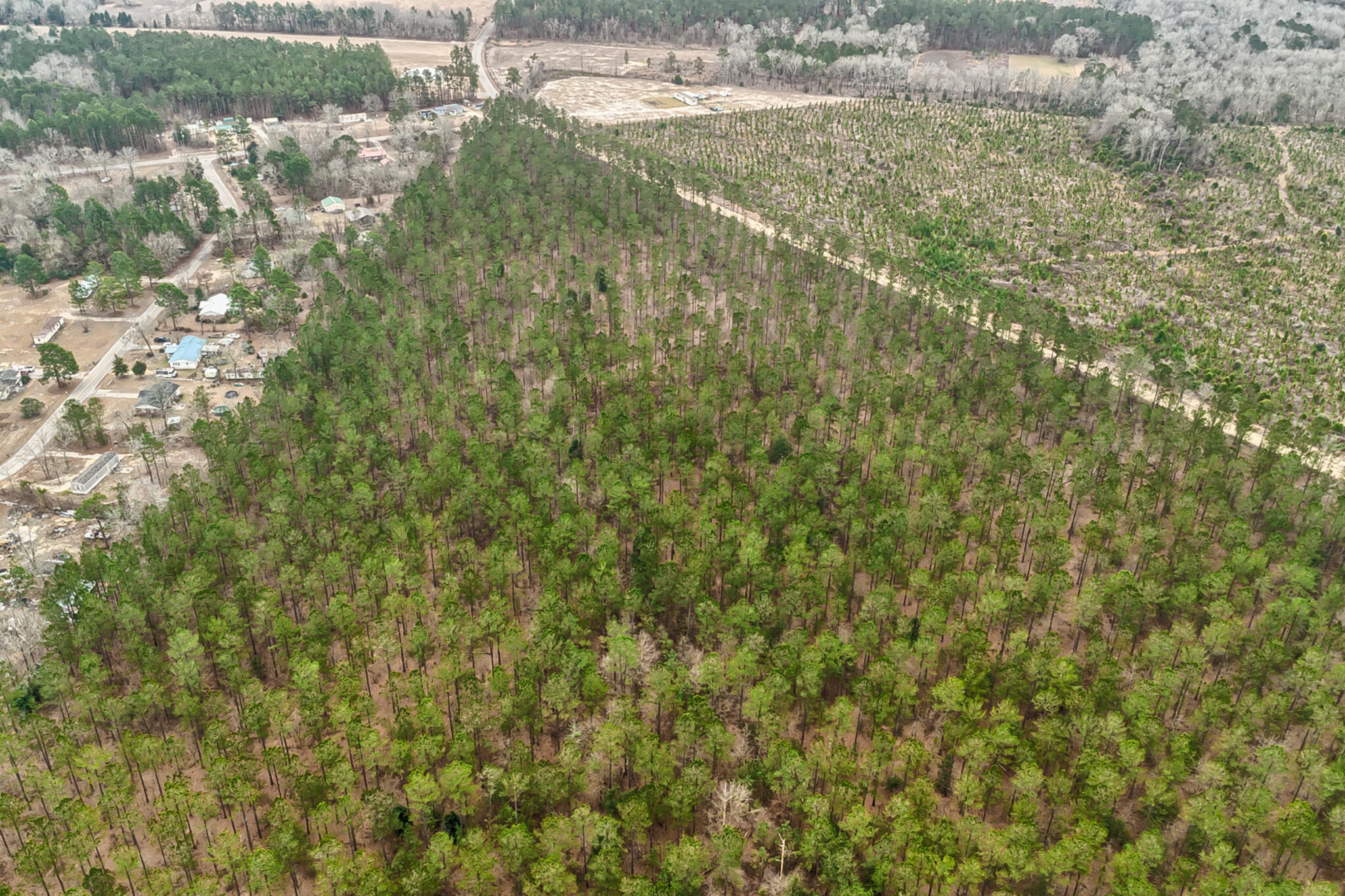 0 Otis Baughman Sr Road Wagener, SC 29164 - Photo 9 of 11