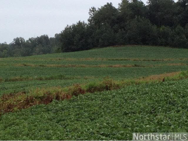29034573 Kennedy Road Mauston, WI 53948 - Photo 2 of 3 Gallery Image 2