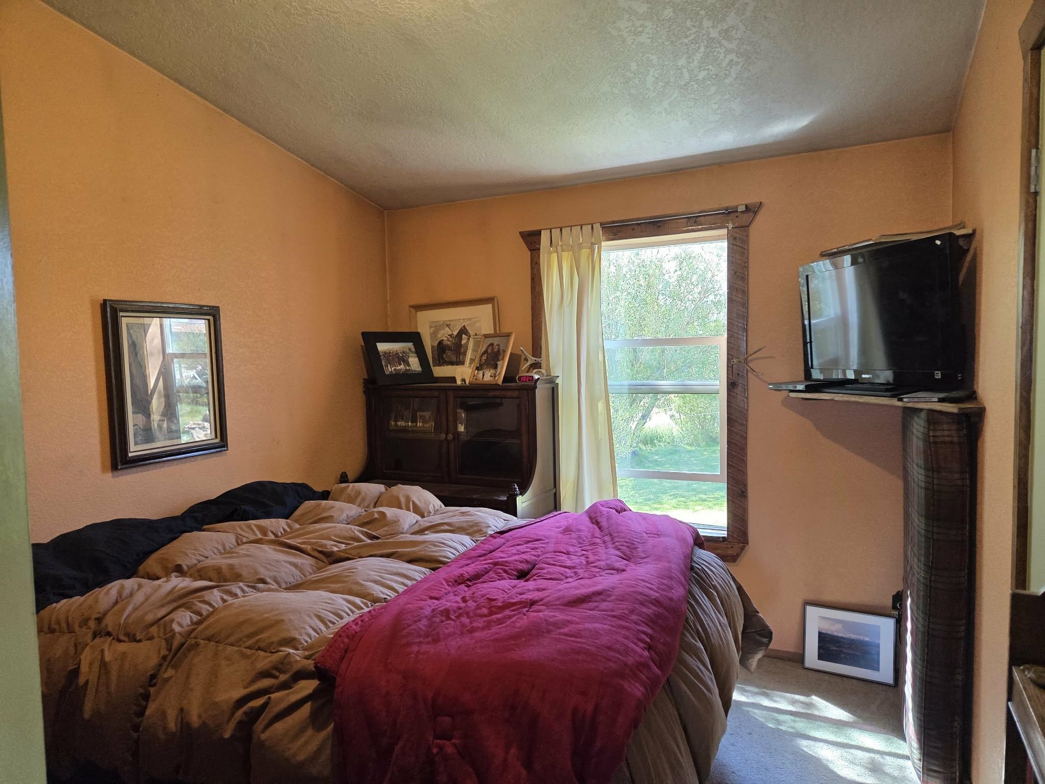 183 Bald Mountain Road Dubois, WY 82513 - Photo 32 of 48