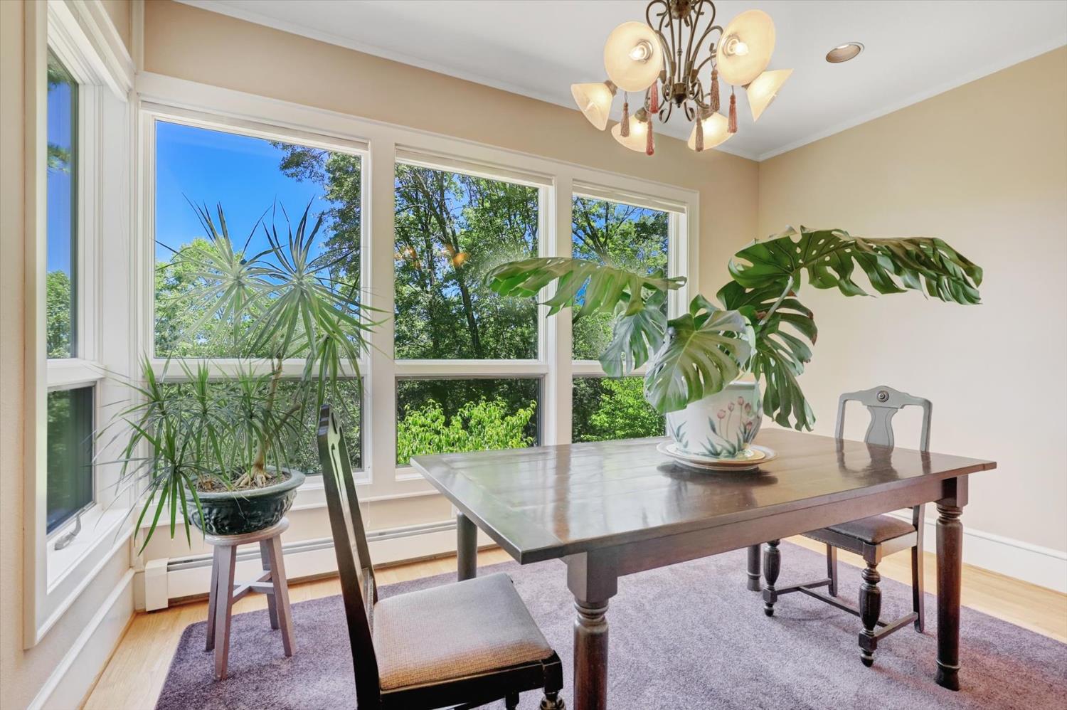 13118 Cement Hill Road Nevada City, CA 95959 - Photo 17 of 98