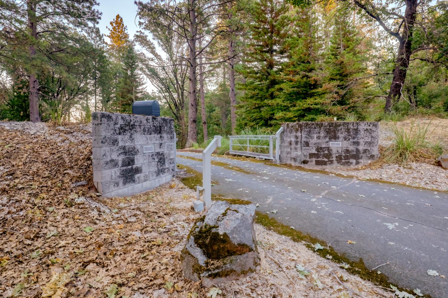 13118 Cement Hill Road Nevada City, CA 95959 - Photo 80 of 98